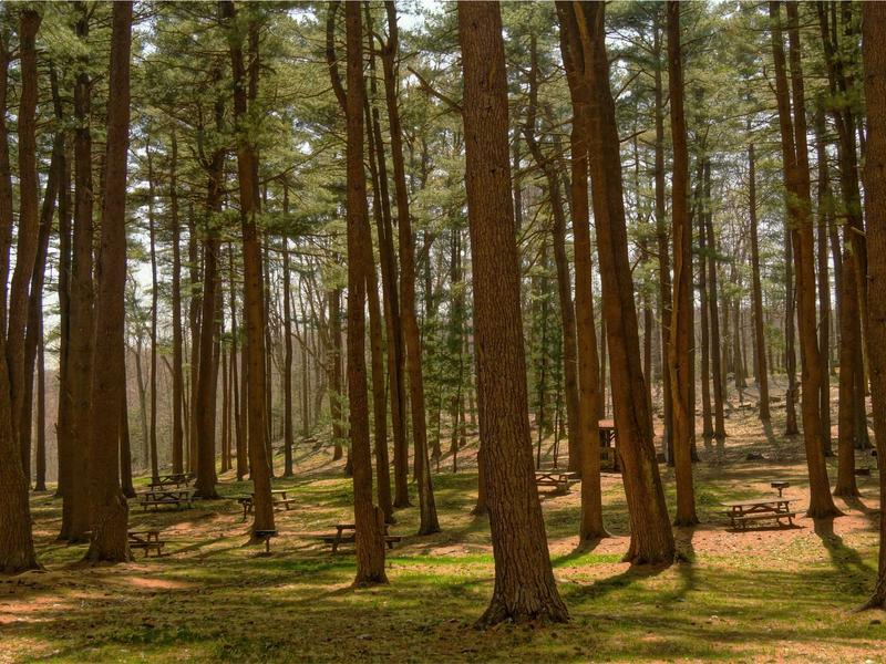 sudoku lifetime access